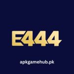 E444 Game